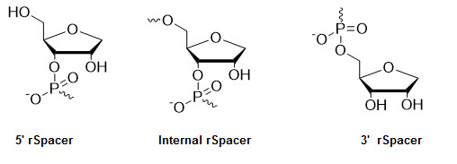 Bio-Synthesis Inc. Oligo Structure